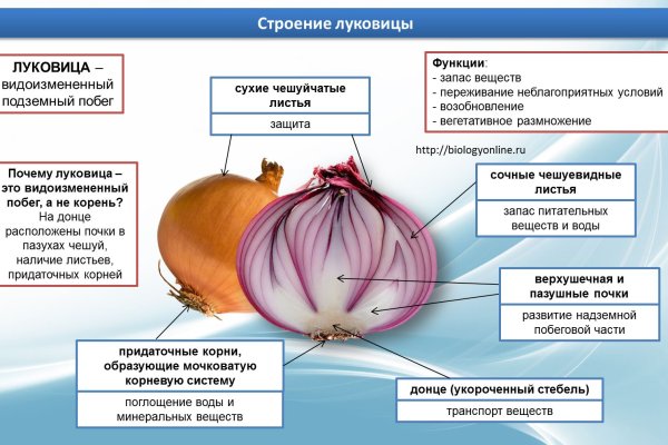 Kraken ссылка tor официальный сайт