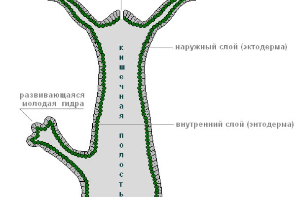 Кракен маркетплейс купить порошок