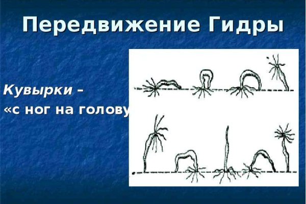 Kraken это